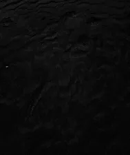 Image by Adrien Olichon